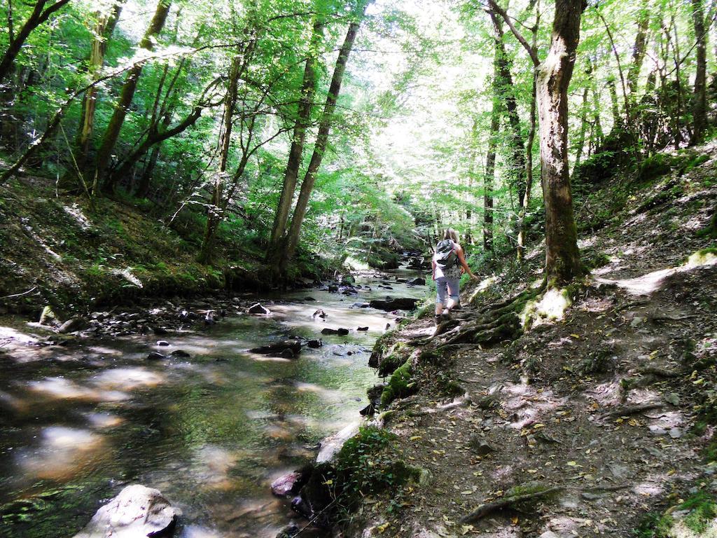 Domaine Du Sable Frühstückspension Saint-Julien-aux-Bois