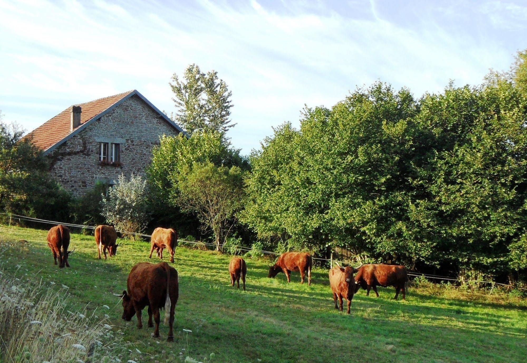 Domaine Du Sable Saint-Julien-aux-Bois